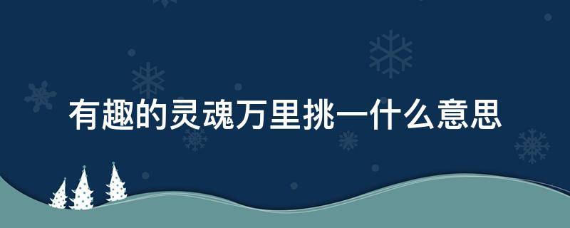 有趣的灵魂万里挑一什么意思 有趣的灵魂万里挑一什么意思、好看的皮囊千篇一律