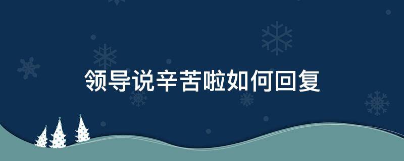 領(lǐng)導(dǎo)說辛苦啦如何回復(fù)（領(lǐng)導(dǎo)說辛苦了怎么回復(fù)呢）