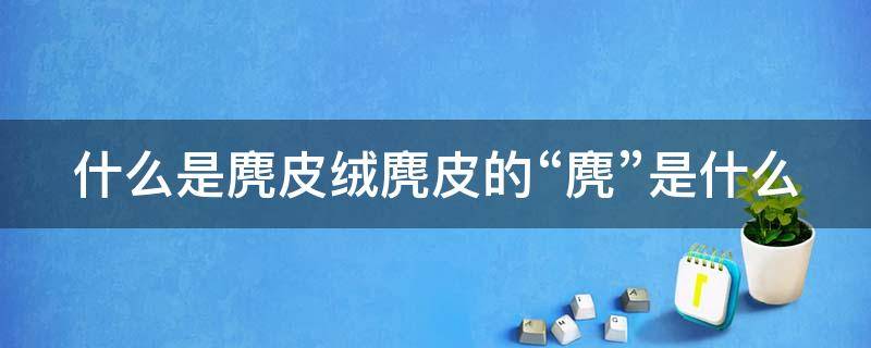 什么是麂皮絨麂皮的“麂”是什么 什么是麂皮絨?麂皮絨面料有什么優(yōu)點和缺點?