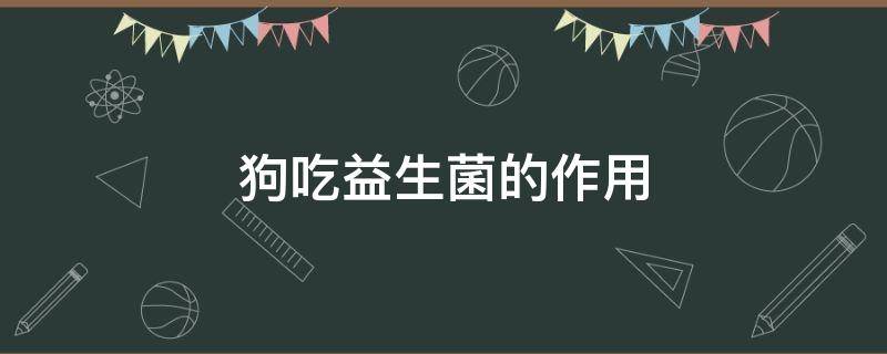 狗吃益生菌的作用 狗吃益生菌的作用与功效