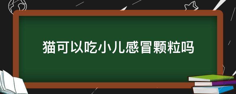 猫可以吃小儿感冒颗粒吗 猫可以吃小儿感冒灵颗粒吗