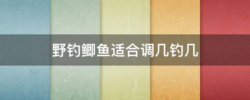 野釣鯽魚適合調幾釣幾 秋季釣鯽魚調幾釣幾比較好