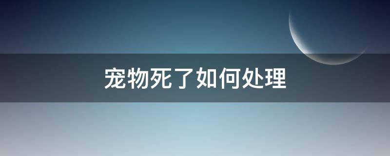 宠物死了如何处理（宠物死了咋办）