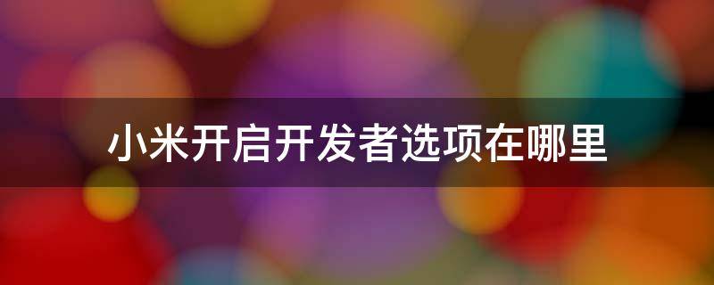 小米開啟開發(fā)者選項在哪里 小米怎么開啟開發(fā)者選項