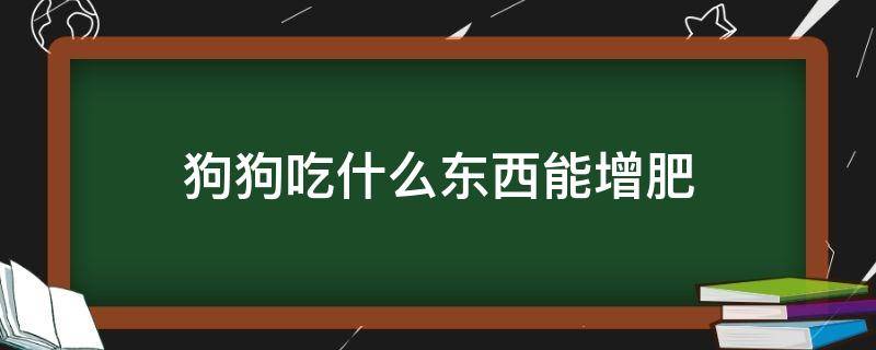 狗狗吃什么东西能增肥（狗子增肥应该吃什么）