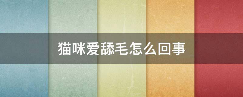 貓咪愛舔毛怎么回事 貓咪經(jīng)常舔毛是怎么回事