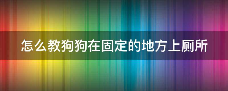 怎么教狗狗在固定的地方上廁所（怎么教小狗在固定的地方便便）