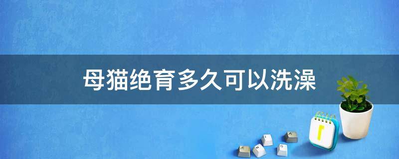 母猫绝育多久可以洗澡（母猫绝育多长时间可以洗澡）