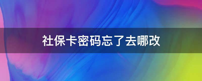 社保卡密码忘了去哪改 社保卡密码忘了怎么办去哪改