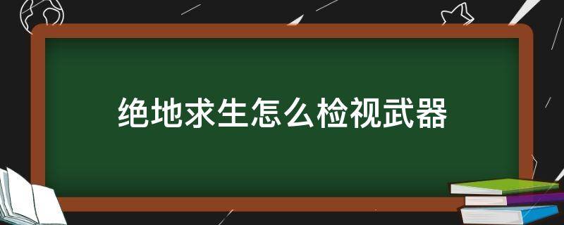 絕地求生怎么檢視武器（絕地求生怎么檢視武器皮膚）