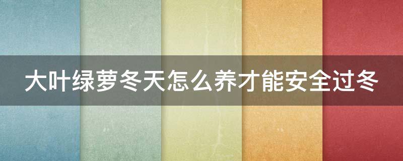 大葉綠蘿冬天怎么養(yǎng)才能安全過(guò)冬（大葉綠蘿冬天的養(yǎng)殖方法和注意事項(xiàng)）