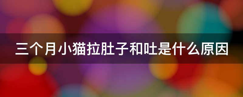 三個(gè)月小貓拉肚子和吐是什么原因（三個(gè)月小貓又拉又吐怎么辦）