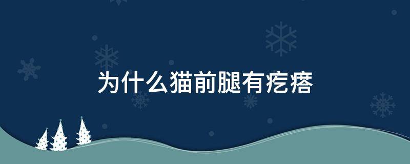 为什么猫前腿有疙瘩 猫前腿根部有很多小疙瘩