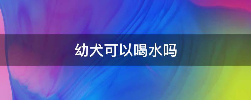 幼犬可以喝水嗎 三個月幼犬可以喝水嗎