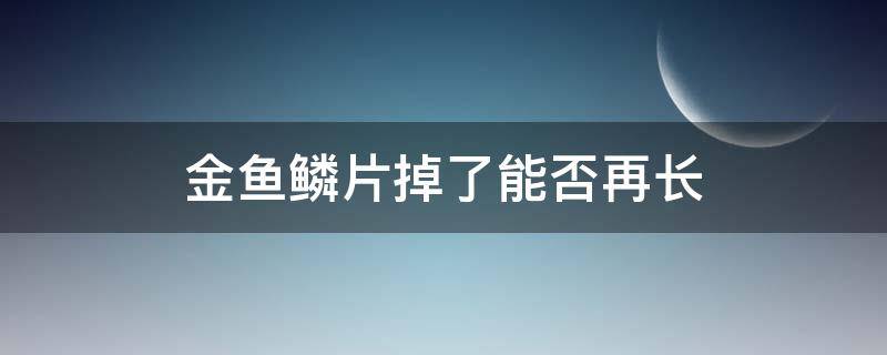 金鱼鳞片掉了能否再长（金鱼鳞片掉了能否再长 养鱼老道）