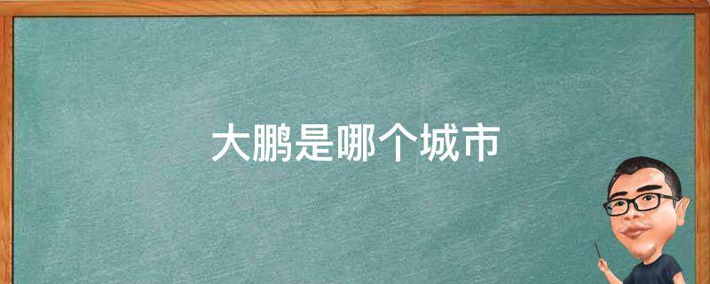 大鵬是哪個城市 大鵬是什么地方