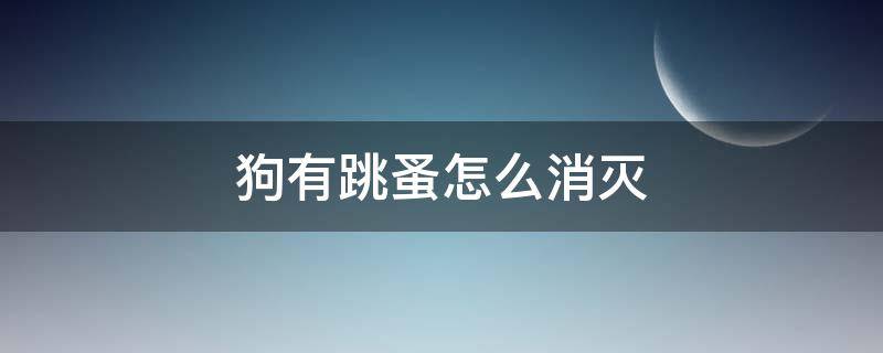 狗有跳蚤怎么消灭 狗怎么除跳蚤