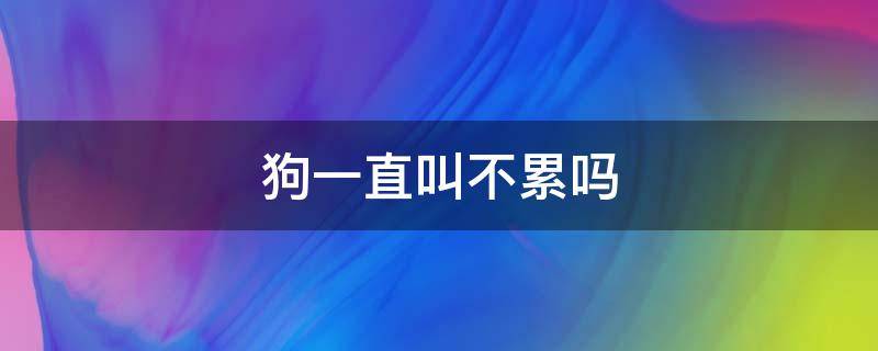 狗一直叫不累吗 狗一直叫不会累死吗?