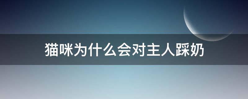 貓咪為什么會(huì)對(duì)主人踩奶（貓咪踩奶是喜歡主人嗎）