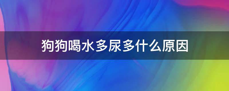 狗狗喝水多尿多什么原因 狗狗喝水多尿多咋回事