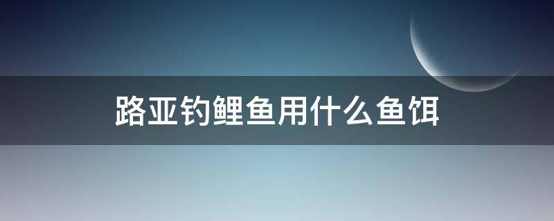 路亚钓鲤鱼用什么鱼饵（路亚用什么饵钓鲫鱼鲤鱼）