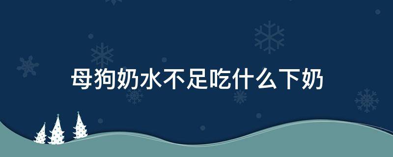 母狗奶水不足吃什么下奶 小狗下奶吃什么奶水多