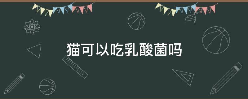 貓可以吃乳酸菌嗎 乳酸菌可以給貓吃嗎