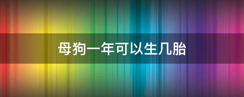 母狗一年可以生几胎（母狗一年能生几胎）