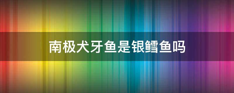 南極犬牙魚是銀鱈魚嗎（南極銀鱈魚和法國銀鱈魚區(qū)別）