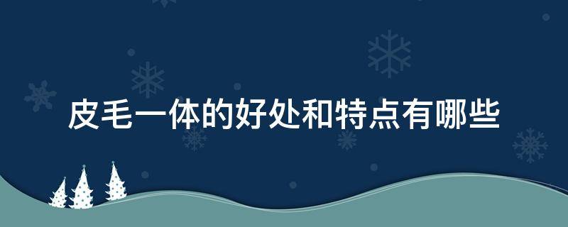 皮毛一体的好处和特点有哪些（皮毛一体有什么优点）