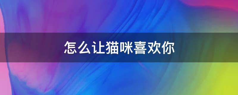 怎么让猫咪喜欢你 怎么才让猫咪喜欢你