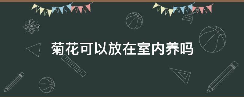 菊花可以放在室內(nèi)養(yǎng)嗎 菊花能不能放在室內(nèi)養(yǎng)