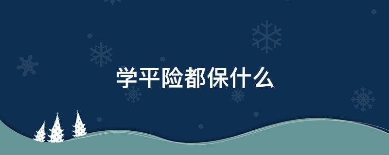 學平險都保什么 100元學平險都保什么