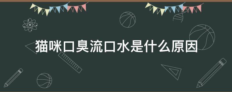 貓咪口臭流口水是什么原因 貓有口臭有口水是什么原因