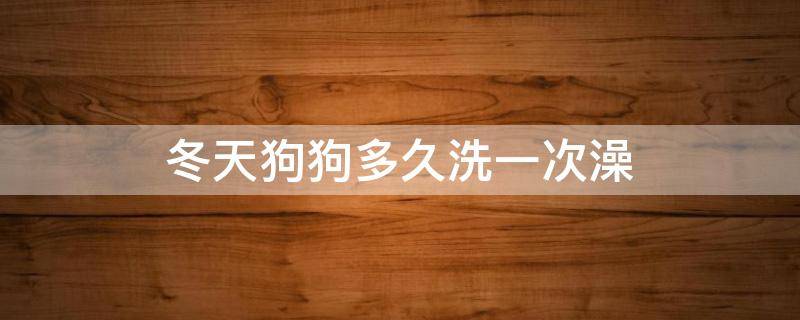 冬天狗狗多久洗一次澡 冬天狗洗澡多久洗一次