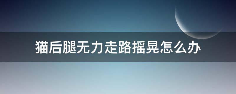 猫后腿无力走路摇晃怎么办 猫后腿无力左右摇摆走