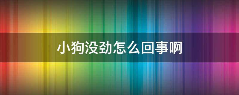 小狗没劲怎么回事啊（狗狗没力气是怎么回事）