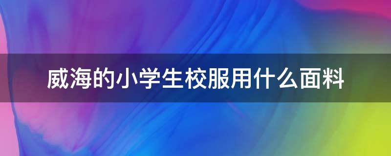 威海的小学生校服用什么面料 威海小学生校服哪里买