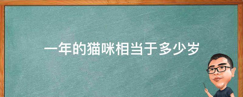 一年的猫咪相当于多少岁 一年等于多少岁