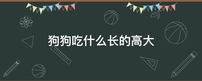 狗狗吃什么長的高大 狗狗吃什么能長高