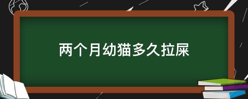 两个月幼猫多久拉屎（两个月的幼猫多久排便）