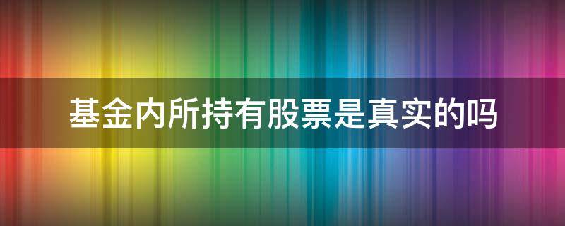 基金内所持有股票是真实的吗（基金里面有股票吗）