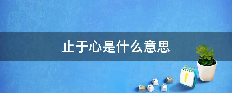 止于心是什么意思（止于心是什么意思阳光点的微信名）