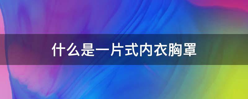 什么是一片式內(nèi)衣胸罩（內(nèi)衣是一套的）