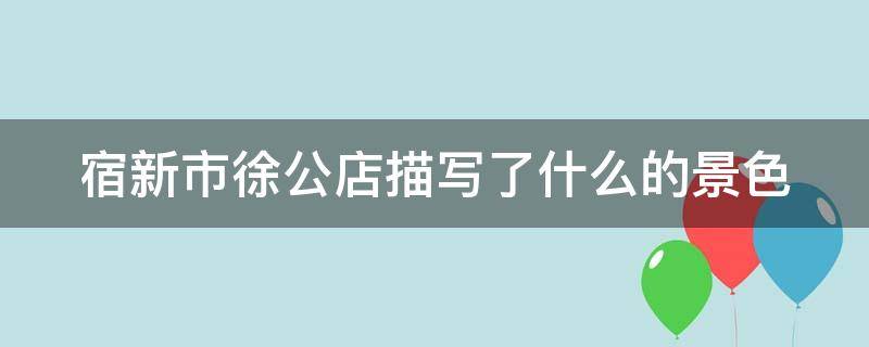 宿新市徐公店描写了什么的景色 宿新市徐公店描写了什么的景色和景色