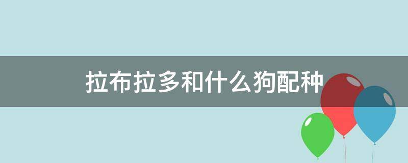 拉布拉多和什么狗配種 純種拉布拉多配種