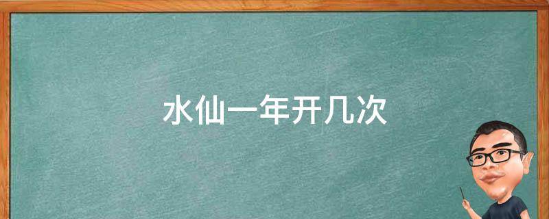 水仙一年开几次（洋水仙一年开几次）