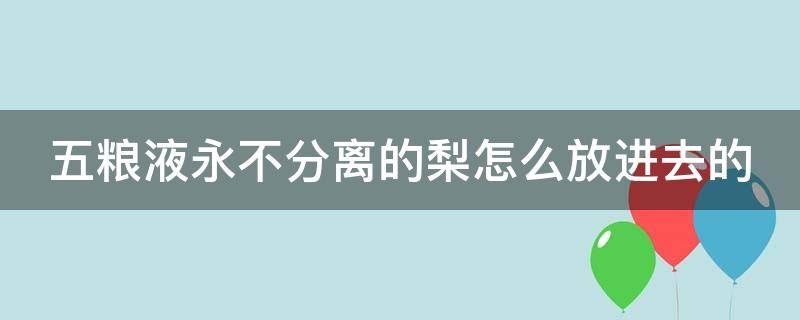 五粮液永不分离的梨怎么放进去的 五粮液永不分梨梨是怎么放进去的