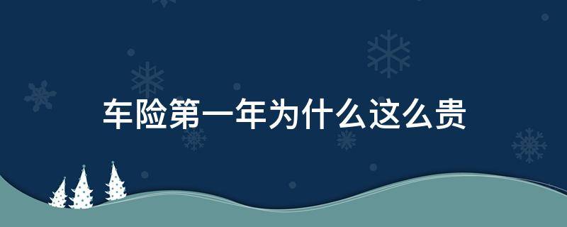 車險(xiǎn)第一年為什么這么貴（車險(xiǎn)為什么第一年都很貴）