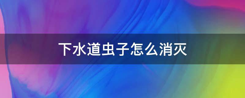 下水道虫子怎么消灭（如何消灭下水道虫子）